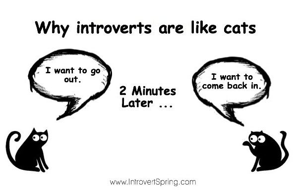 introverti, izlazak, mačke