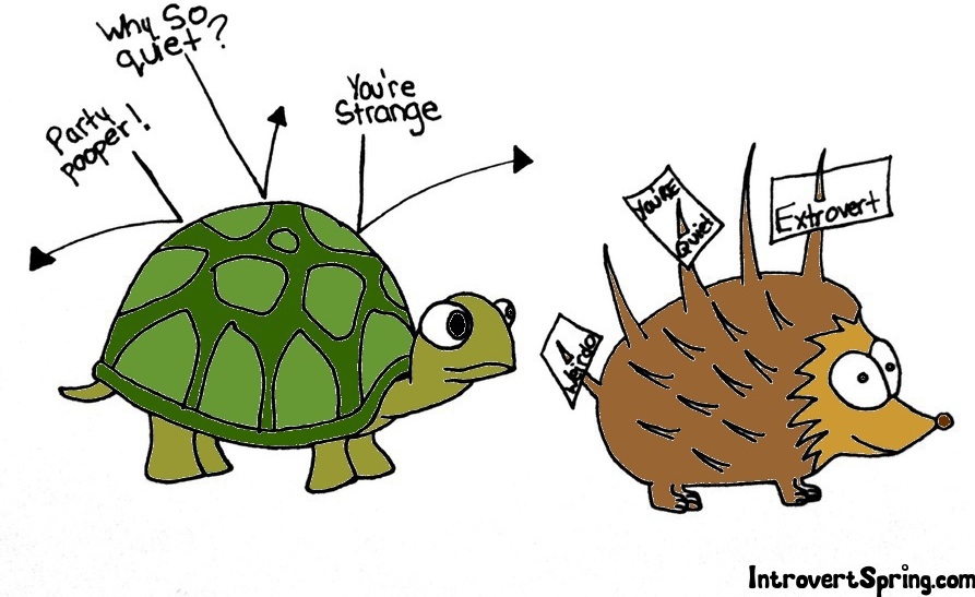 Turtle vs. Porcupine