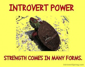 INTROVERT POWER