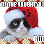 A Grumpy Cat Christmas