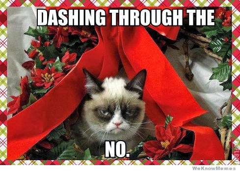 dashing-through-the-no-grumpy-cat-meme