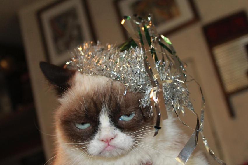 new-years-grumpy-cat