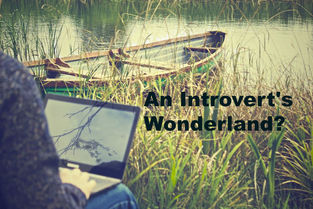 Introvert Wonderland