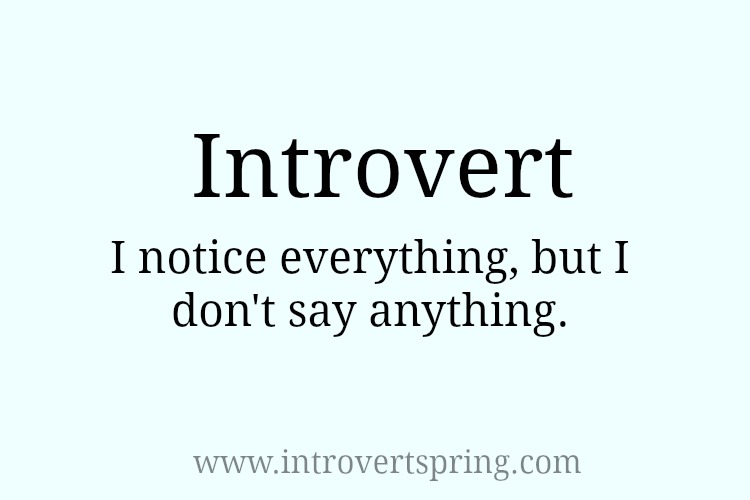 Introvert - I notice everything - Introvert Spring