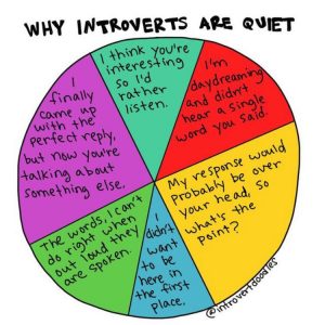 introvert doodles review