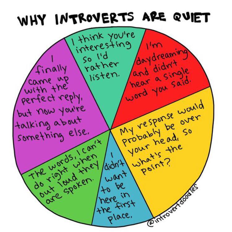 Are Introverts Two-Faced? - Introvert Spring