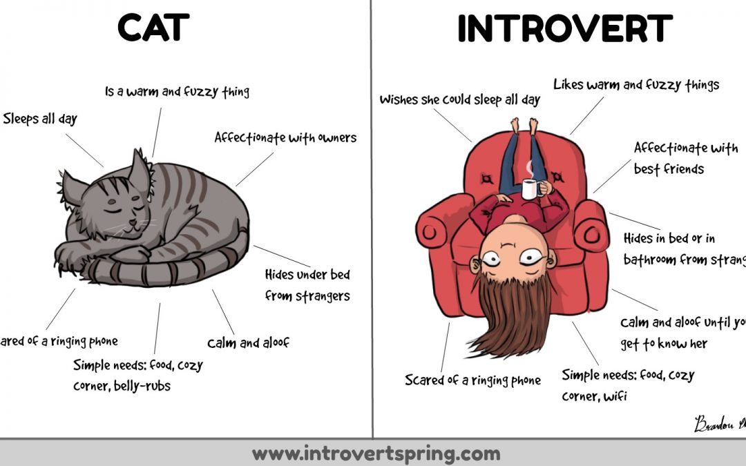 Funny Comic Explains Why Introverts Are Like Cats