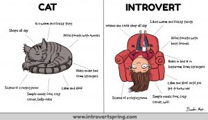 introverts are like cats