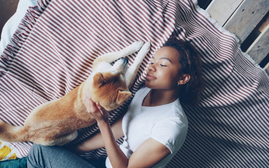 Why Animal Assisted Therapy Connects So Deeply with Introverts