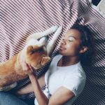 Why Animal Assisted Therapy Connects So Deeply with Introverts