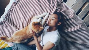 animal assisted therapy