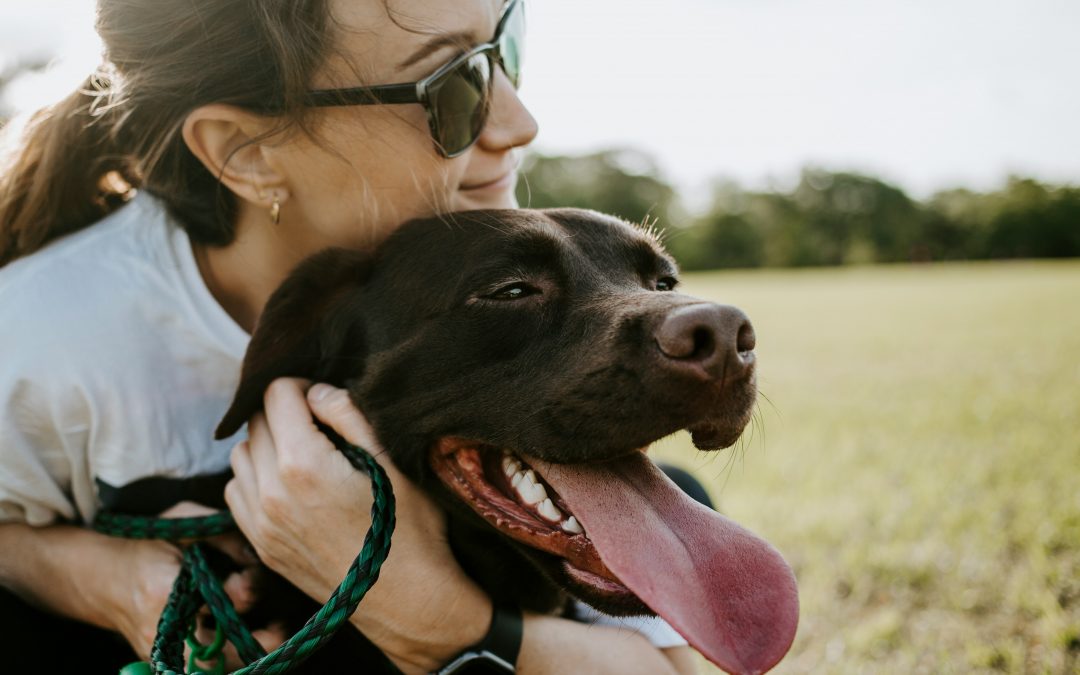 How Introverts Can Set Boundaries and Stay Safe on Dog Walks