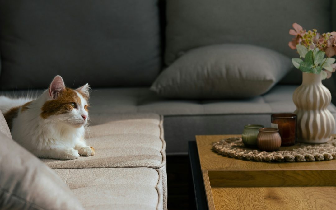 Creating a Quieter, More Peaceful Home as an Introvert