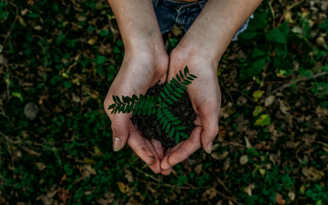 Why Environmental Monitoring Can Be a Great Fit for Detail-Oriented Introverts
