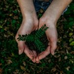 Why Environmental Monitoring Can Be a Great Fit for Detail-Oriented Introverts